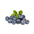 Blue berry Domo 170gr.
