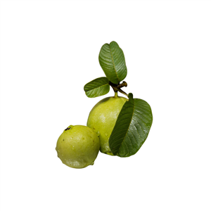 Guayaba Grande
